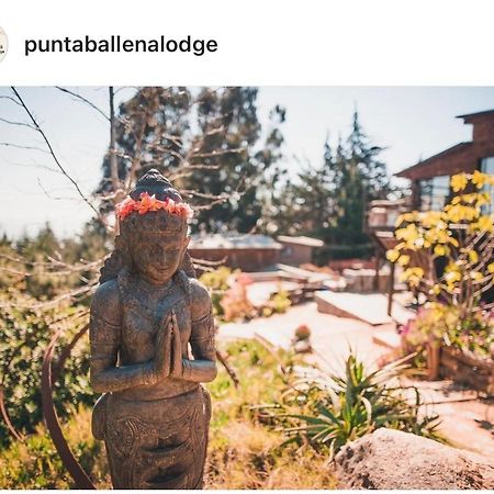 Punta Ballena Lodge Pichilemu Exteriér fotografie