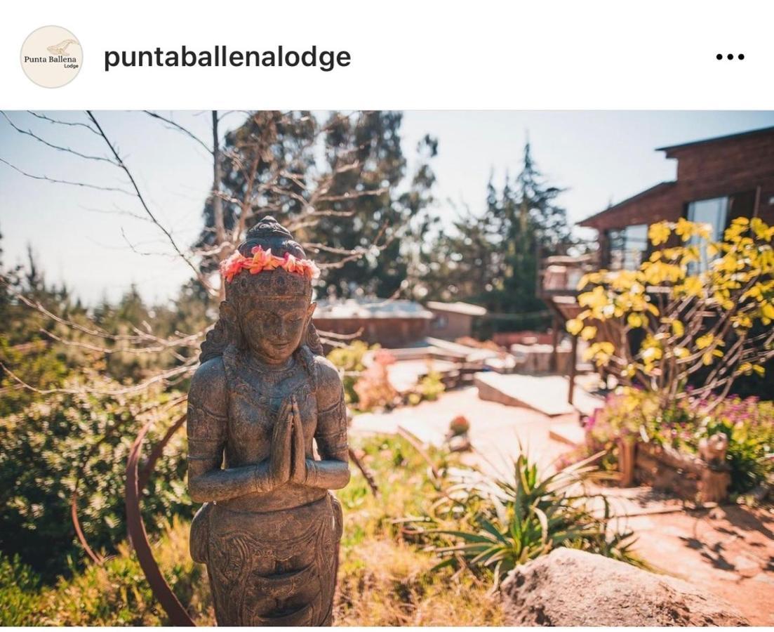 Punta Ballena Lodge Pichilemu Exteriér fotografie